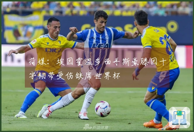 荷媒：埃因霍温多面手斯豪滕因十字韧带受伤缺席世界杯