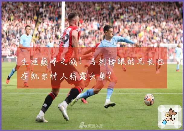 生涯巅峰之战！马刺榜眼的兄长也在凯尔特人崭露头角？